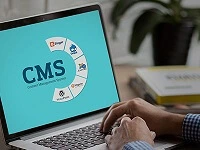 cms-development-service.php