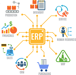 Best ERP Development Company in India| NetLeaf Software